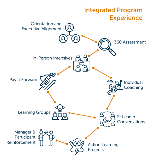 Leadership Programs - Andiron