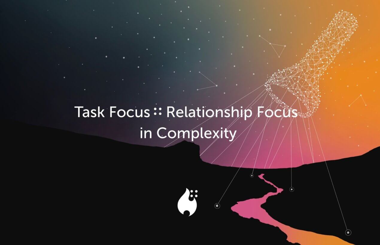task focus relationship focus complexity