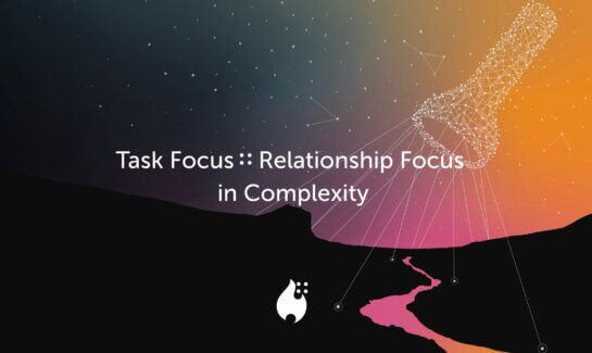 task focus relationship focus complexity